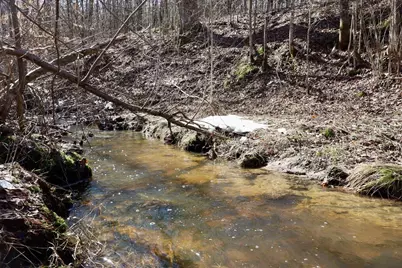 V/L 200th Avenue, Tustin, MI 49688 - Photo 4