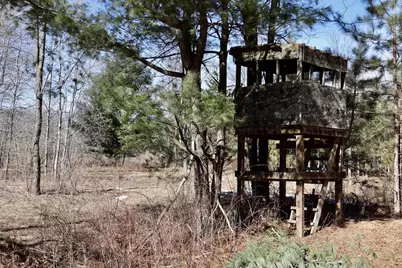 V/L 200th Avenue, Tustin, MI 49688 - Photo 30