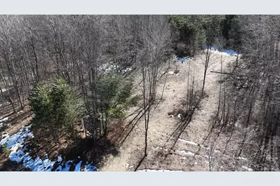 V/L 200th Avenue, Tustin, MI 49688 - Photo 18