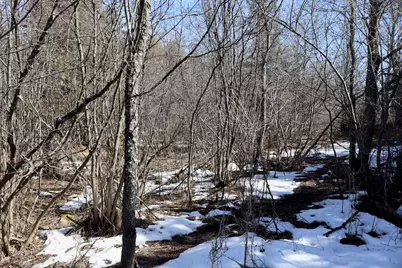 V/L 200th Avenue, Tustin, MI 49688 - Photo 38