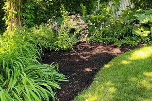 526 Butler St, Saugatuck, MI 49453 - Photo 30