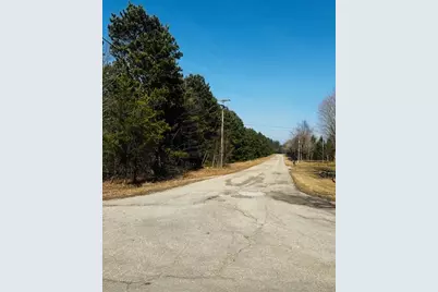 Twelfth Street, Bear Lake, MI 49614 - Photo 2