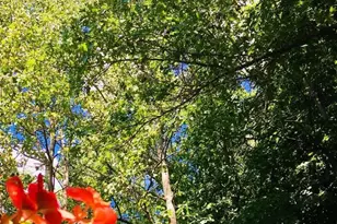 3008 Kay Dr SE, Grand Rapids, MI 49508 - Photo 28