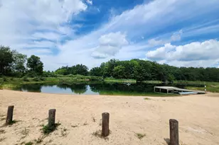 6557 S Woods Trail Rd, Custer, MI 49405 - Photo 20