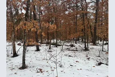 00 S Stanberry, Baldwin, MI 49304 - Photo 4