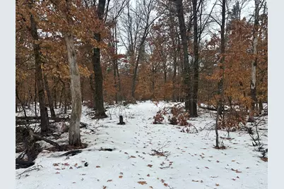 00 S Stanberry, Baldwin, MI 49304 - Photo 1