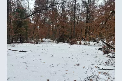 00 S Stanberry, Baldwin, MI 49304 - Photo 2