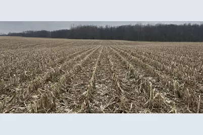 S Pittsford Road #0 V/L, Pittsford, MI 49271 - Photo 14