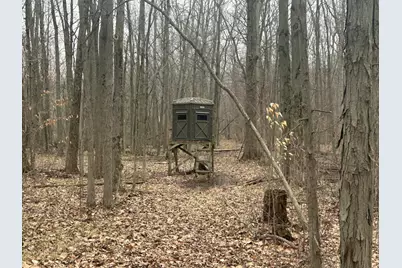 S Pittsford Road #0 V/L, Pittsford, MI 49271 - Photo 2