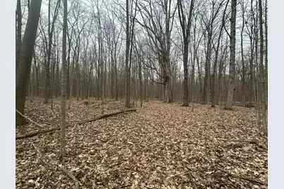 S Pittsford Road #0 V/L, Pittsford, MI 49271 - Photo 4