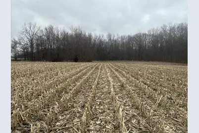 S Pittsford Road #0 V/L, Pittsford, MI 49271 - Photo 8