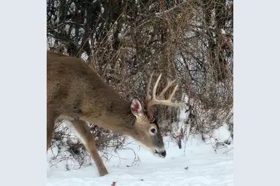 3470 Sears Road, Horton, MI 49246 - Photo 30