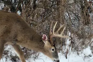 3470 Sears Rd, Horton, MI 49246 - Photo 30