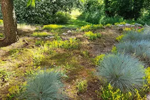 7987 Tiffany Ave NE, Rockford, MI 49341 - Photo 58