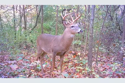 667 Pierce Road, Plainwell, MI 49080 - Photo 6