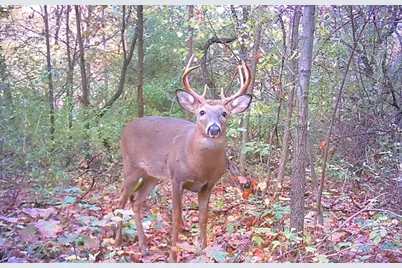 667 Pierce Road, Plainwell, MI 49080 - Photo 8