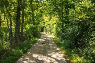 667 Pierce Rd, Plainwell, MI 49080 - Photo 1