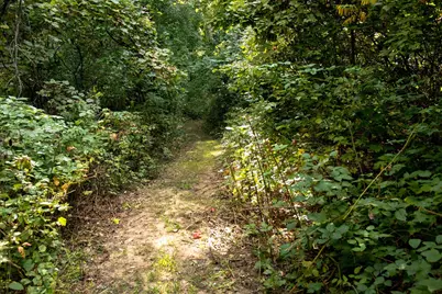 667 Pierce Road, Plainwell, MI 49080 - Photo 12