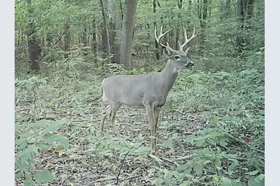 667 Pierce Road, Plainwell, MI 49080 - Photo 10