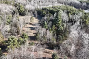 20334 11 Mile Rd, Leroy, MI 49655 - Photo 4