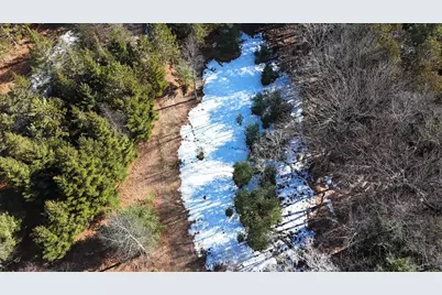 20334 11 Mile Road, Leroy, MI 49655 - Photo 32