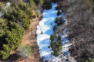 20334 11 Mile Rd, Leroy, MI 49655 - Photo 32