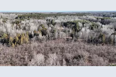 20334 11 Mile Road, Leroy, MI 49655 - Photo 10