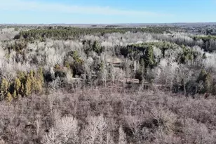 20334 11 Mile Rd, Leroy, MI 49655 - Photo 10