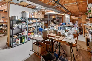 20334 11 Mile Rd, Leroy, MI 49655 - Photo 50