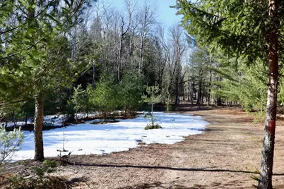 20334 11 Mile Road, Leroy, MI 49655 - Photo 24