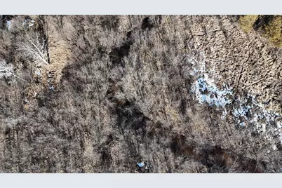 20334 11 Mile Road, Leroy, MI 49655 - Photo 6