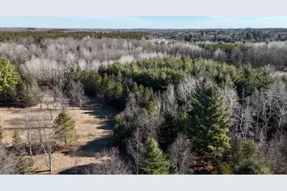 20334 11 Mile Road, Leroy, MI 49655 - Photo 2