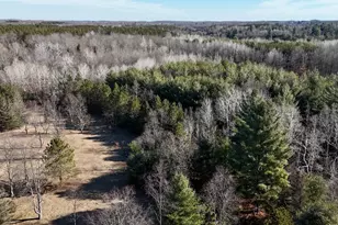 20334 11 Mile Rd, Leroy, MI 49655 - Photo 2