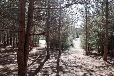 20334 11 Mile Road, Leroy, MI 49655 - Photo 26