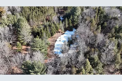 20334 11 Mile Road, Leroy, MI 49655 - Photo 16