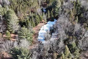 20334 11 Mile Rd, Leroy, MI 49655 - Photo 16