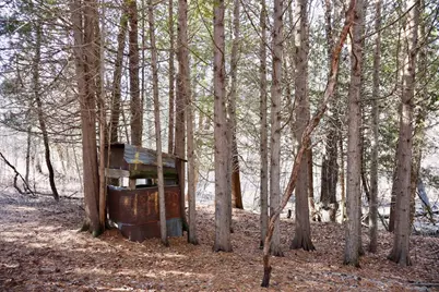 20334 11 Mile Road, Leroy, MI 49655 - Photo 30