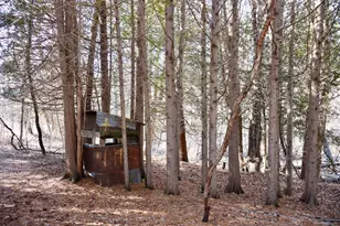 20334 11 Mile Rd, Leroy, MI 49655 - Photo 30