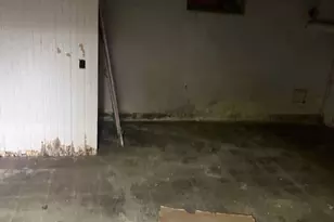 4605 Bedford St, Detroit, MI 48224 - Photo 4