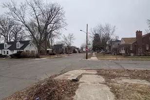 4605 Bedford St, Detroit, MI 48224 - Photo 34