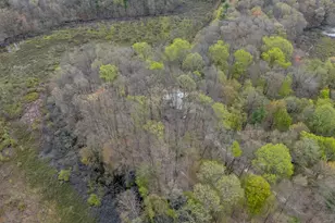 22431 Paulson Rd, Gobles, MI 49055 - Photo 50