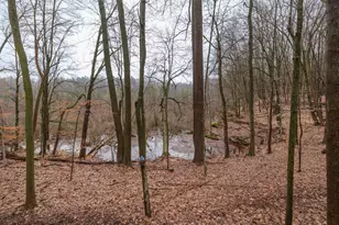 22431 Paulson Rd, Gobles, MI 49055 - Photo 30