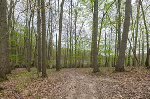 22431 Paulson Rd, Gobles, MI 49055 - Photo 38