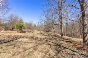 15342 W Almy, Howard City, MI 49329 - Photo 58