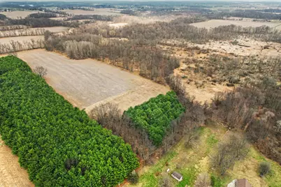 1 1/2 Mile Road, East Leroy, MI 49051 - Photo 18