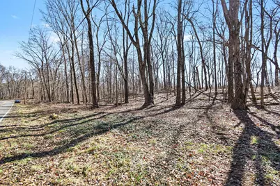 Vl Garver Lake Road, Edwardsburg, MI 49112 - Photo 16