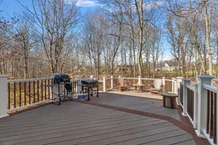 5052 S Dickinson Ct, Saint Joseph, MI 49085 - Photo 18