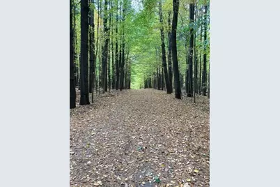 46 Camp Madron Road #46, Buchanan, MI 49107 - Photo 48