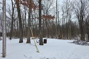 28660 E Baseline Hwy, Springport, MI 49284 - Photo 8