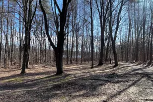 11969 Strait Rd, Hanover, MI 49241 - Photo 2